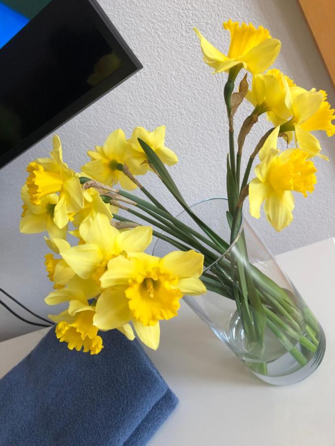 Apartmán Lara Komárno Esterno foto